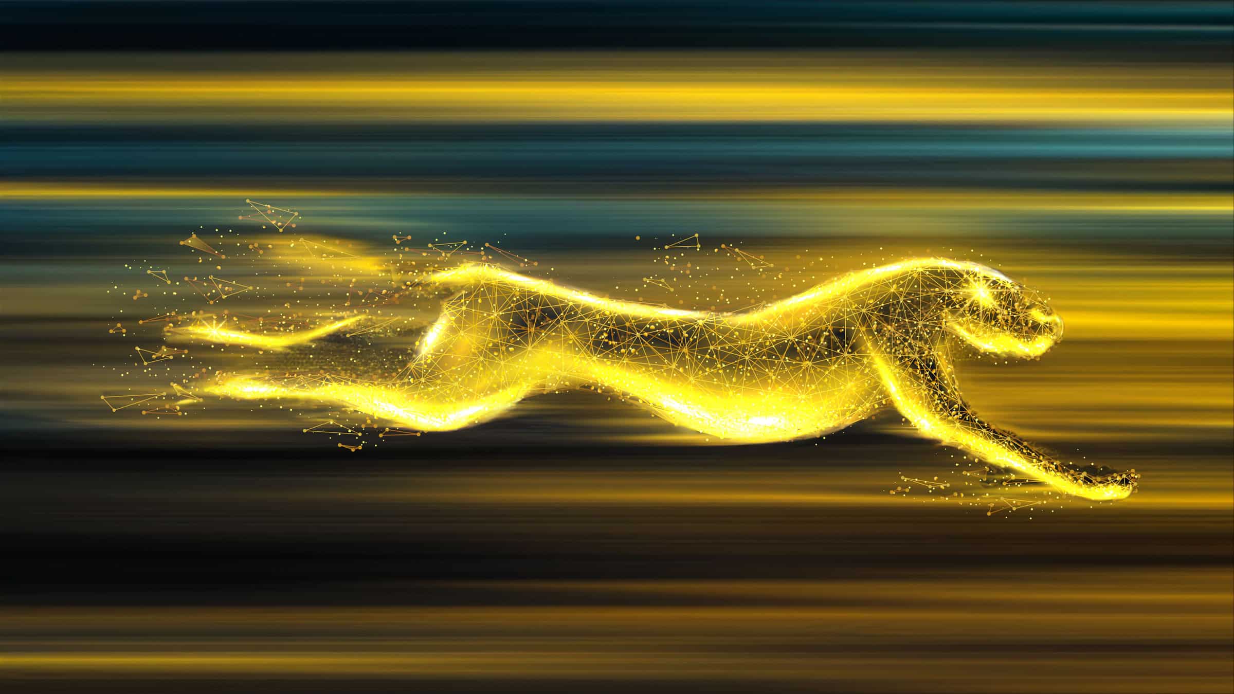 Managed WordPress Hosting